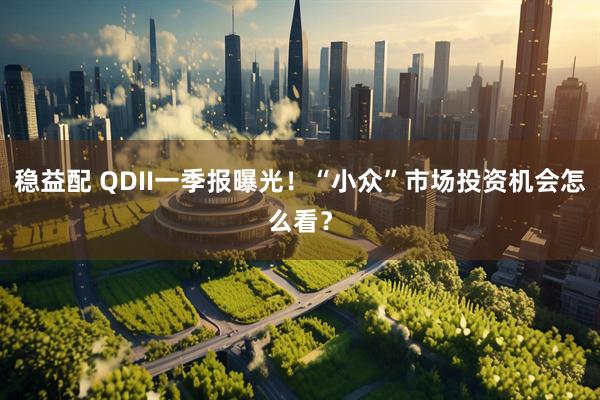 稳益配 QDII一季报曝光！“小众”市场投资机会怎么看？
