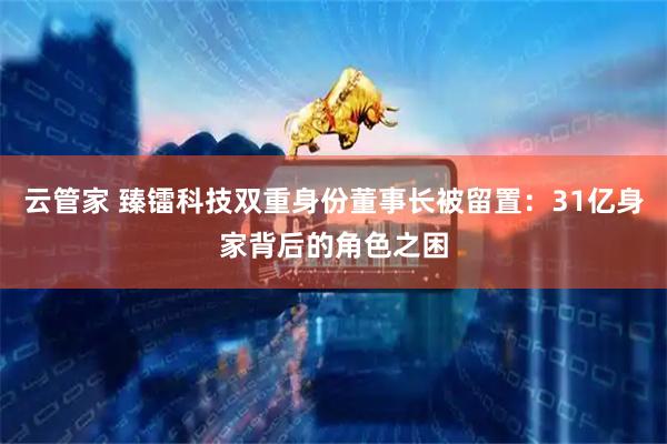 云管家 臻镭科技双重身份董事长被留置：31亿身家背后的角色之困