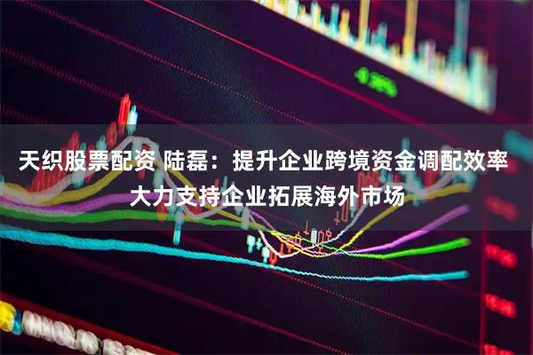 天织股票配资 陆磊：提升企业跨境资金调配效率 大力支持企业拓展海外市场