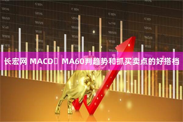 长宏网 MACD➕MA60判趋势和抓买卖点的好搭档