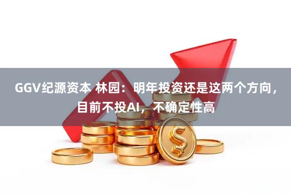 GGV纪源资本 林园：明年投资还是这两个方向，目前不投AI，不确定性高