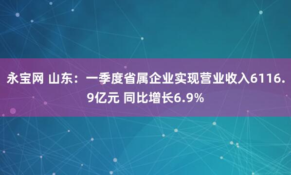 永宝网 山东：一季度省属企业实现营业收入6116.9亿元 同比增长6.9%