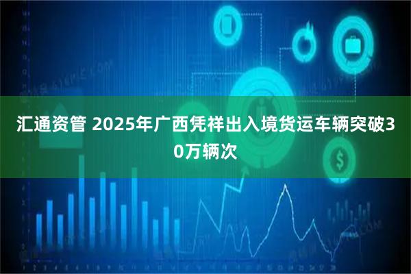 汇通资管 2025年广西凭祥出入境货运车辆突破30万辆次